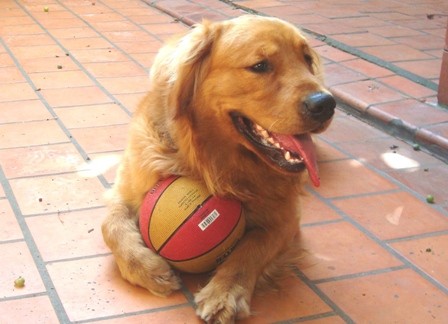 Carilo y su pelota favorita (Verano 2010)